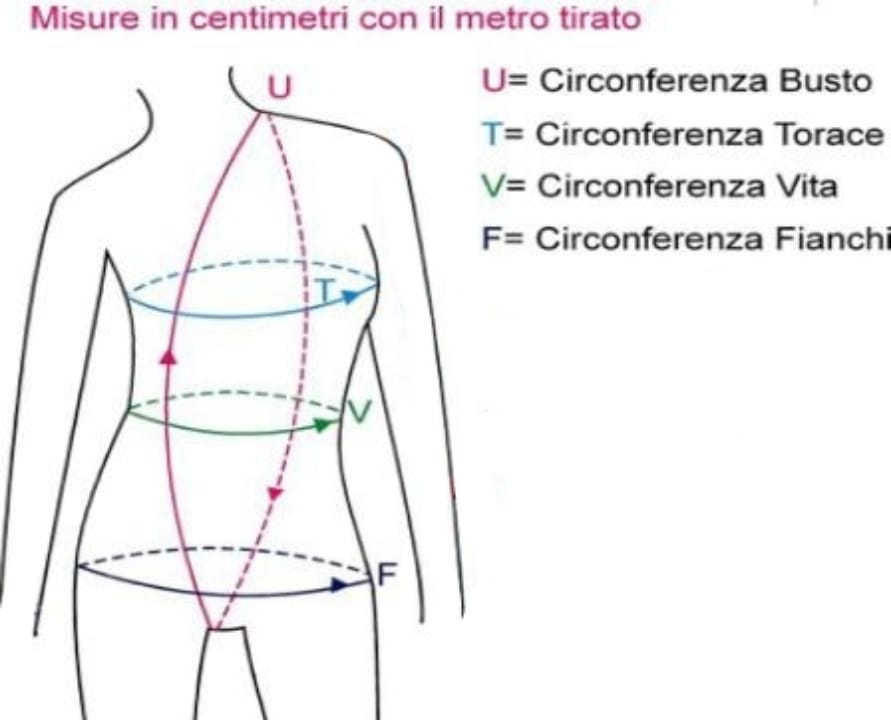 Body interior - Pastorelli