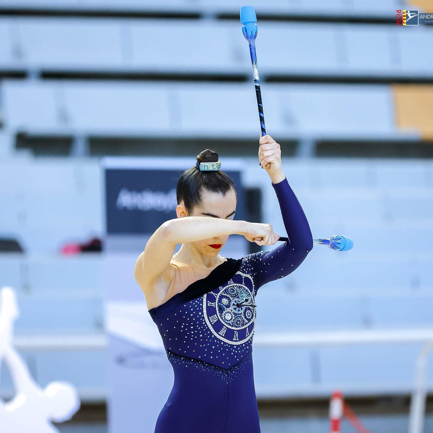 personalizacion de aparatos de gimnasia ritmica 